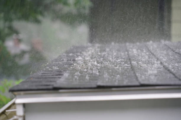 Best Cold Roofs  in , HI